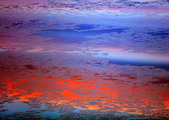 Carolyn Marks Blackwood