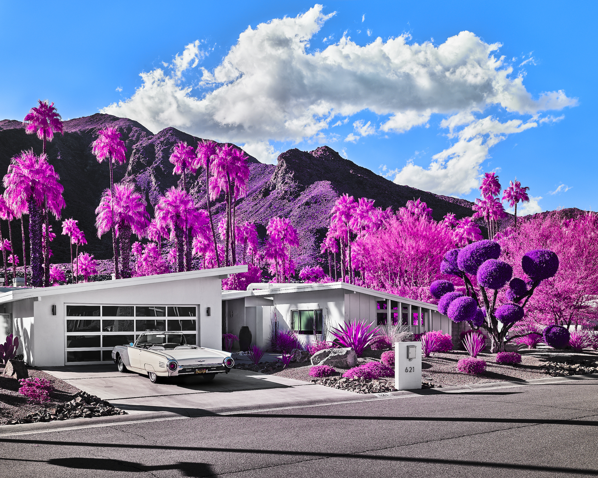 Von Lintel Gallery