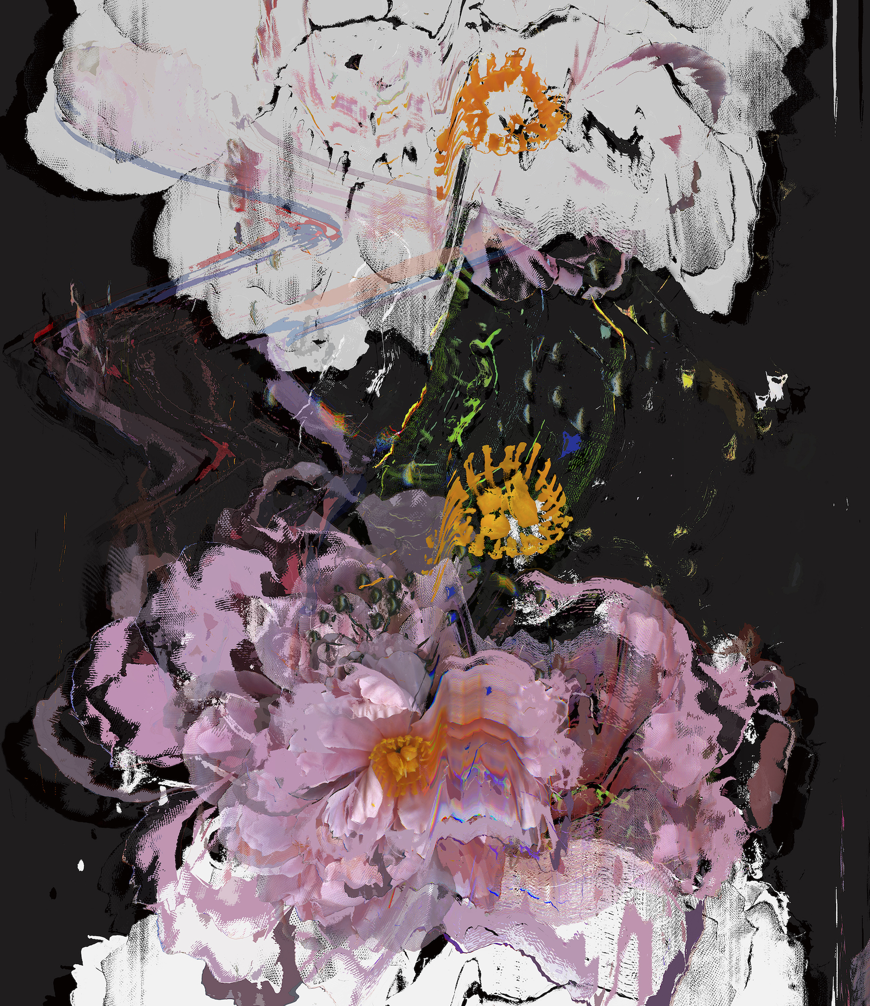 Von Lintel Gallery